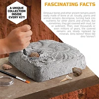 Discovery™ #Mindblown Colossal Fossil Dig Set