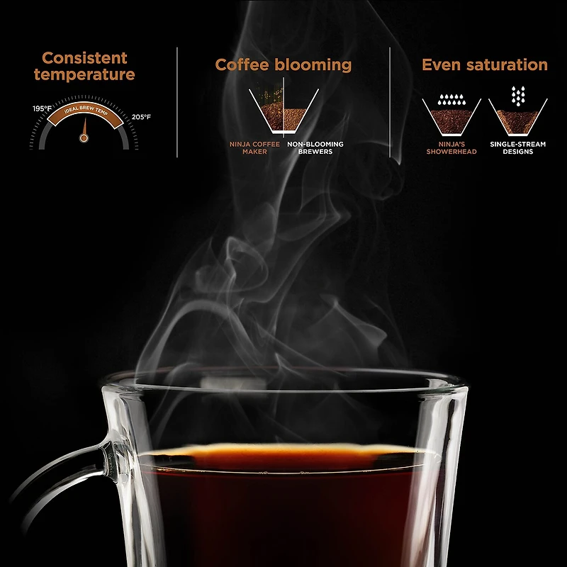 Ninja Hot & Iced Xl Drip Coffee Maker