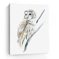 Lumaprints Arctic Owl I Giclee Canvas Art