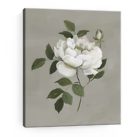 Lumaprints Botanical Rose Giclee Canvas Art