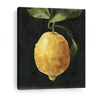 Lumaprints Dark Lemon I Giclee Canvas Art