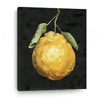 Lumaprints Dark Lemon Ii Giclee Canvas Art
