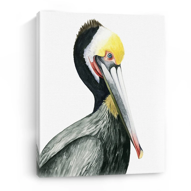 Lumaprints Watercolor Pelican I Giclee Canvas Art
