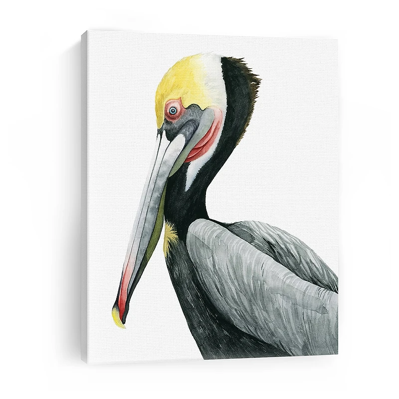 Lumaprints Watercolor Pelican Ii Giclee Canvas Art