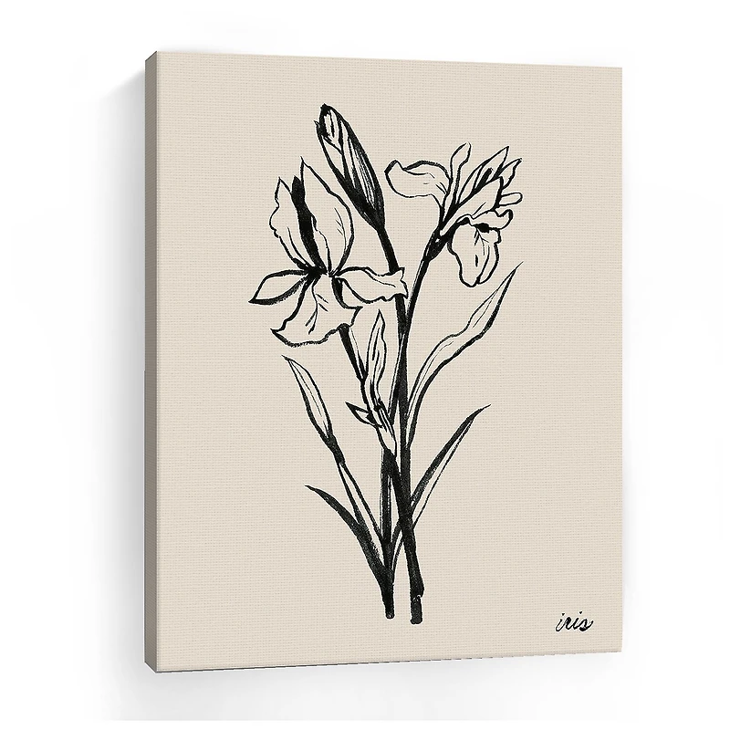 Lumaprints Iris Sketch I Giclee Canvas Art