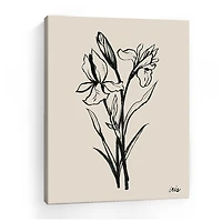 Lumaprints Iris Sketch I Giclee Canvas Art
