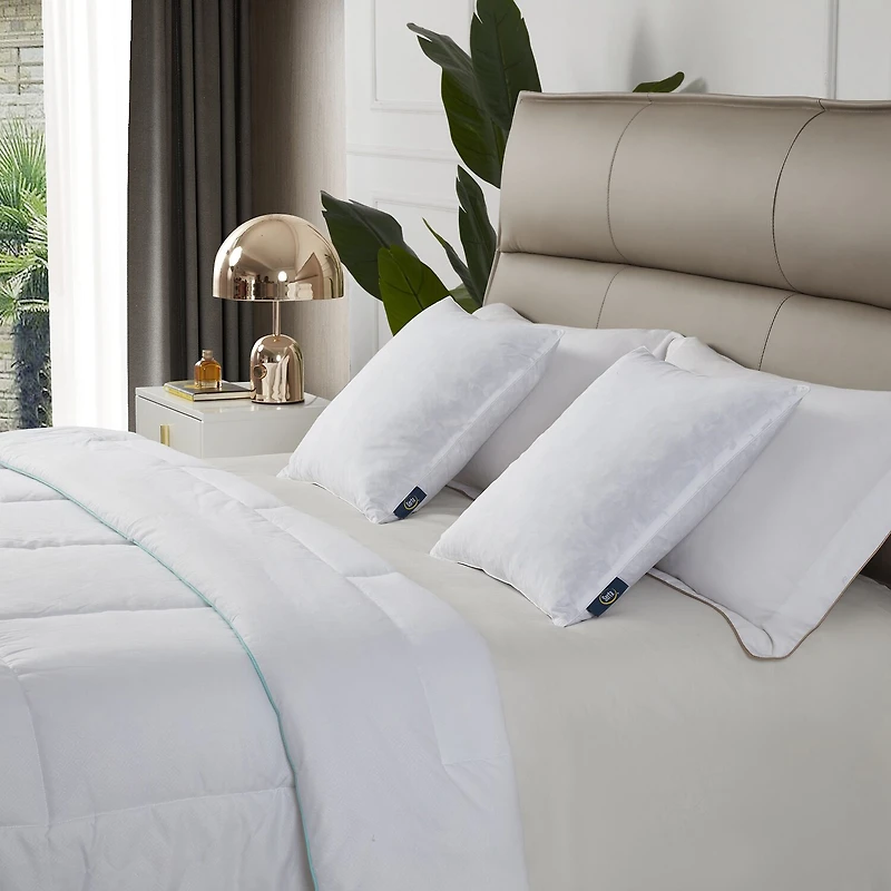 Serta® Cotton 2 Pack Medium Density Bed Pillow