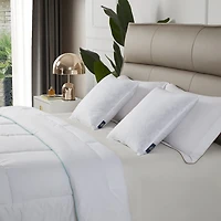 Serta® Cotton 2 Pack Medium Density Bed Pillow