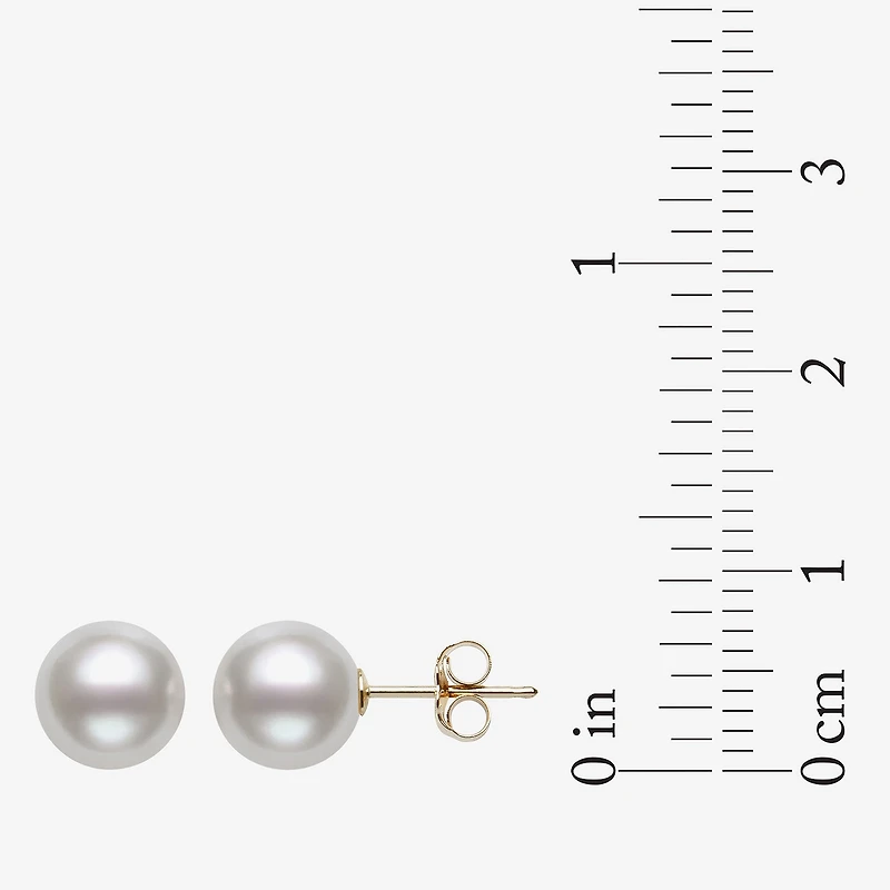 White Cultured Freshwater Pearl 10K Gold Stud Earrings