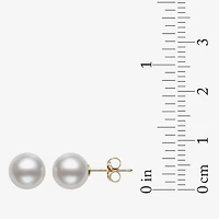 White Cultured Freshwater Pearl 10K Gold Stud Earrings