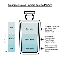 Vince Camuto Women's Eau De Parfum 4-Pc Coffret Set ($48 Value)