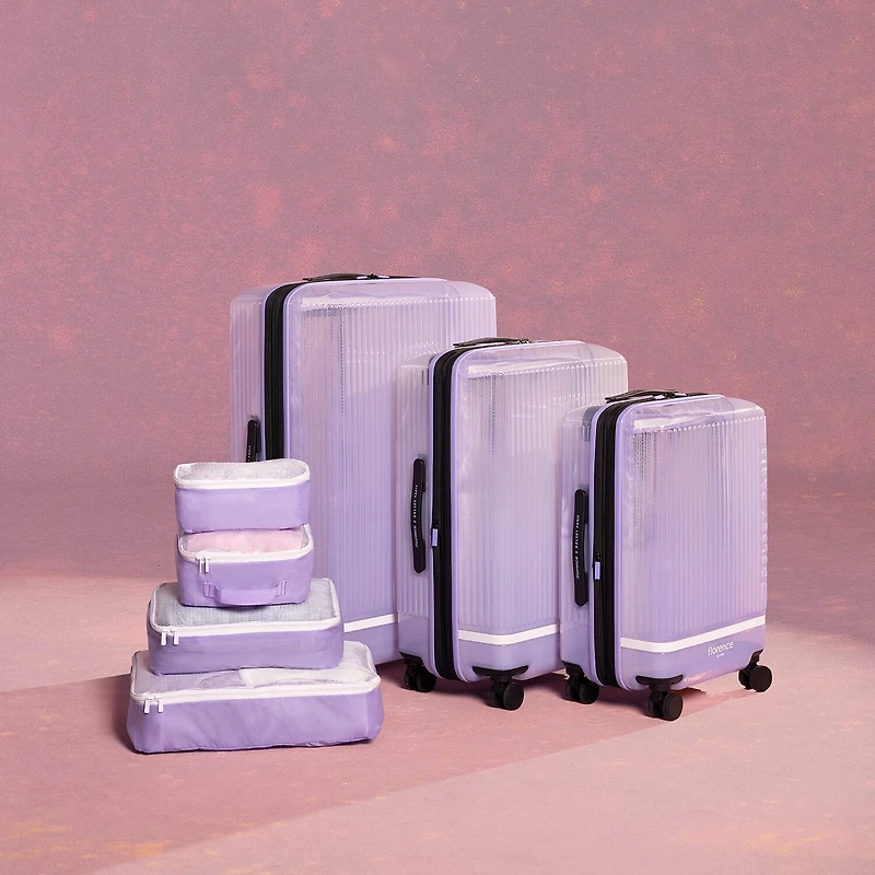Florence By Mills X Delsey Paris Gotta Glow 24 Inch Hardside Expandable Checked Spinner Luggage