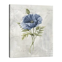 Lumaprints Blue Linen Poppy Canvas Art