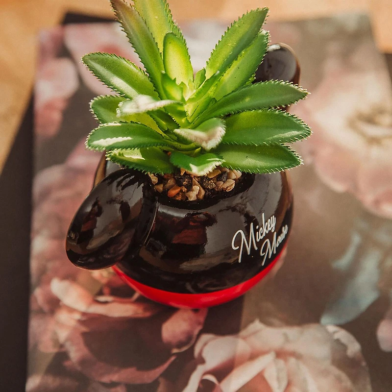 Disney Collection Mickey Mouse Mini Planter Planter