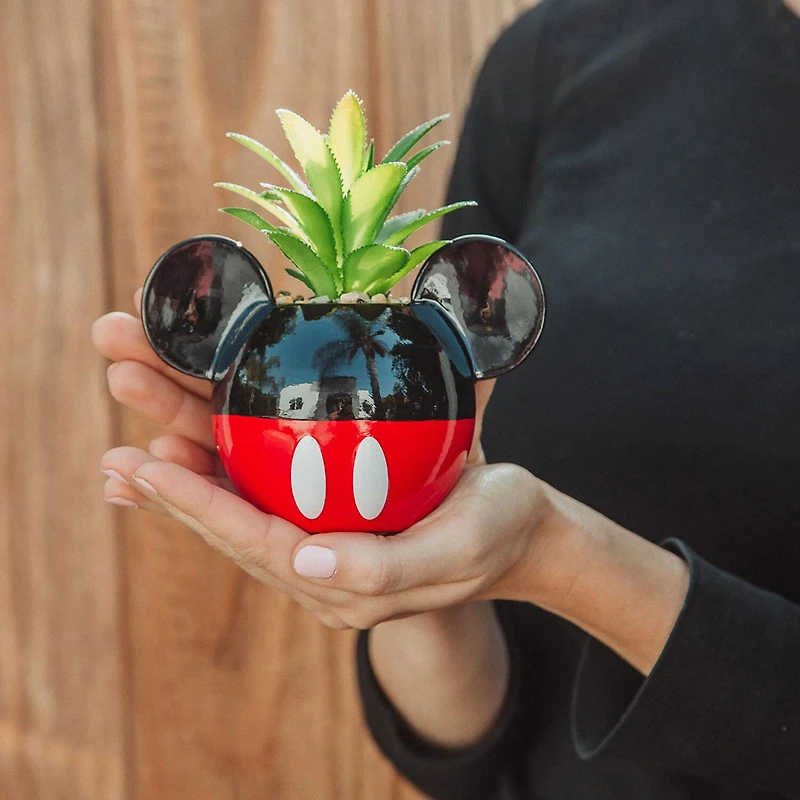 Disney Collection Mickey Mouse Mini Planter Planter