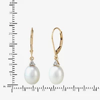 Certified Sofia™ Cultured Freshwater Pearl 14K Yellow Gold Earrings