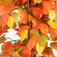 Nearly Natural 3' Orange Ficus Indoor Artificial Tree