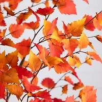 Nearly Natural 7' Orange Autumn Birch Indoor Artificial Tree