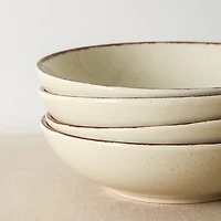 EARTH & CLAY Heath 4-pc. Stoneware Dinnerware Set