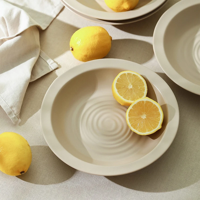 Stone + Lain Orbit 12-pc. Stoneware Dinnerware Set