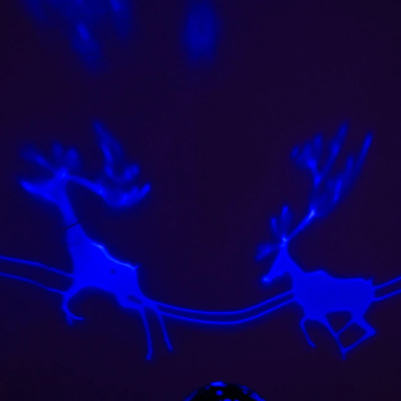 Kurt Adler Reindeer Night Light Projector Lighted Christmas Tabletop Decor