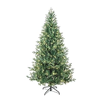 Kurt Adler 6-Foot Warm White LED Jackson Pine Tree