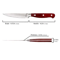 BergHOFF Pakka Wood Stainless Steel -pc. Carving Knife Set with Case