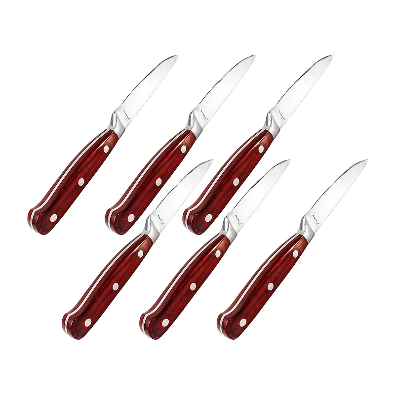 BergHOFF Pakka Wood Stainless Steel -pc. Carving Knife Set with Case