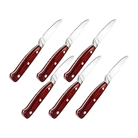 BergHOFF Pakka Wood Stainless Steel -pc. Carving Knife Set with Case