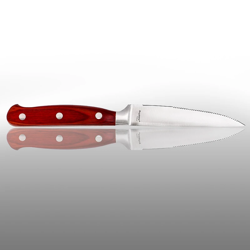 BergHOFF Pakka Wood Stainless Steel -pc. Carving Knife Set with Case