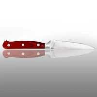 BergHOFF Pakka Wood Stainless Steel -pc. Carving Knife Set with Case