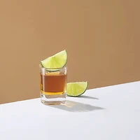 Joyjolt City Shot Glasses 10-pc. Shot Glass