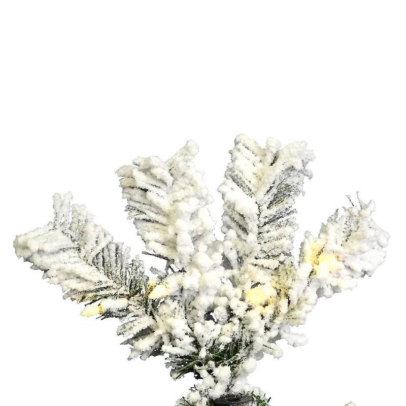 5.5' Prelit Flocked Pacific Pencil Christmas Tree