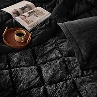 Intelligent Design Isabel Velvet Duvet Cover Set with decorative pillow