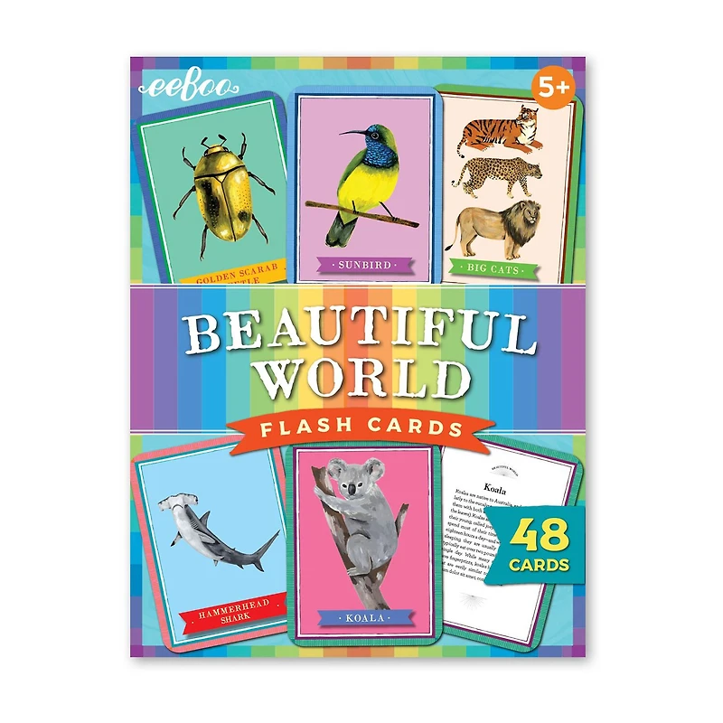 Eeboo Beautiful World Educational Flash Cards Discovery Toy
