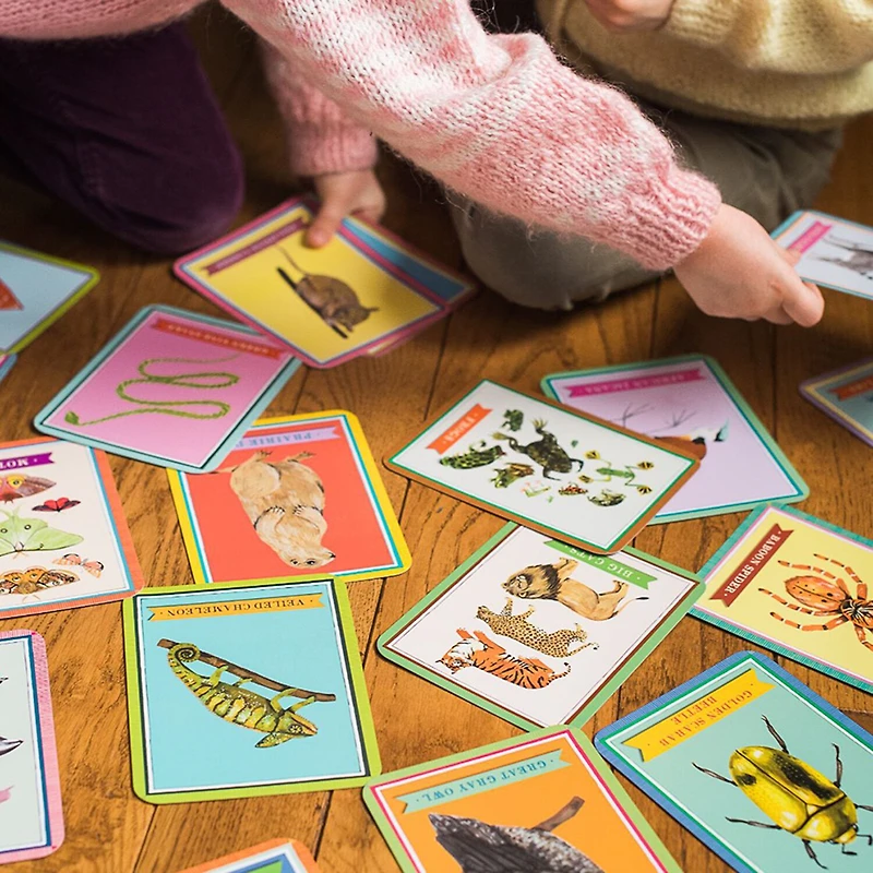 Eeboo Beautiful World Educational Flash Cards Discovery Toy