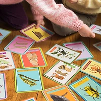Eeboo Beautiful World Educational Flash Cards Discovery Toy