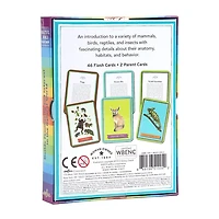 Eeboo Beautiful World Educational Flash Cards Discovery Toy