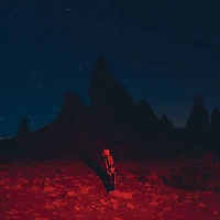 Phoebe Bridgers-Punisher Lp Vinyl Records