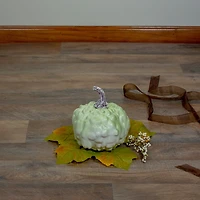 Northlight "5.5"" Green Textured Pumpkin Fall Harvest" Thanksgiving Tabletop Decor