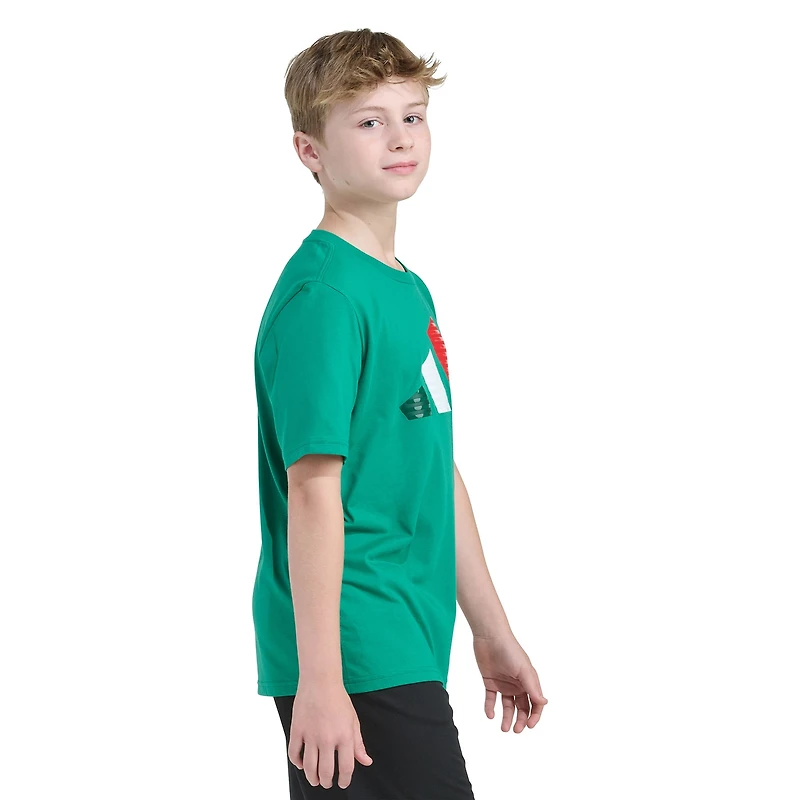 adidas Big Kid Boys Crew Neck Short Sleeve Regular Fit Graphic T-Shirt