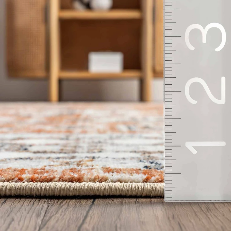 nuLoom Vanesa 39"X60" Indoor Rectangular Accent Rug