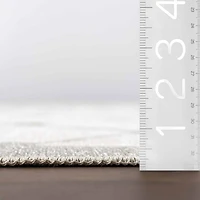 nuLoom Amiyah Indoor Rectangular Area Rug