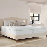 Martha Stewart SleepComplete 12" Gel Memory Foam Medium/Firm Tight Top - Mattress in a Box