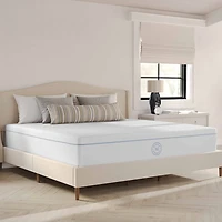 Martha Stewart SleepComplete 12" Gel Memory Foam Medium - Mattress a Box