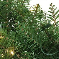 Northlight Northern Pine Led Artificial 48-Inch Warm White Lights Pre-Lit Wreath