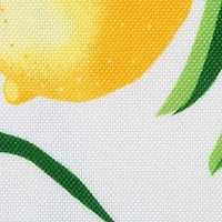 Design Imports Lemon Bliss Print Outdoor 6-pc. Placemat