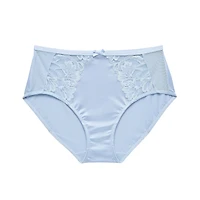 Ambrielle Tulip Lace Shine Brief Panty