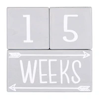 The Peanutshell 3-pc. Unisex Baby Milestones
