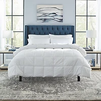 Pointehaven Cotton Percale Oversized Down Alternative Midweight Hypoallergenic Comforter
